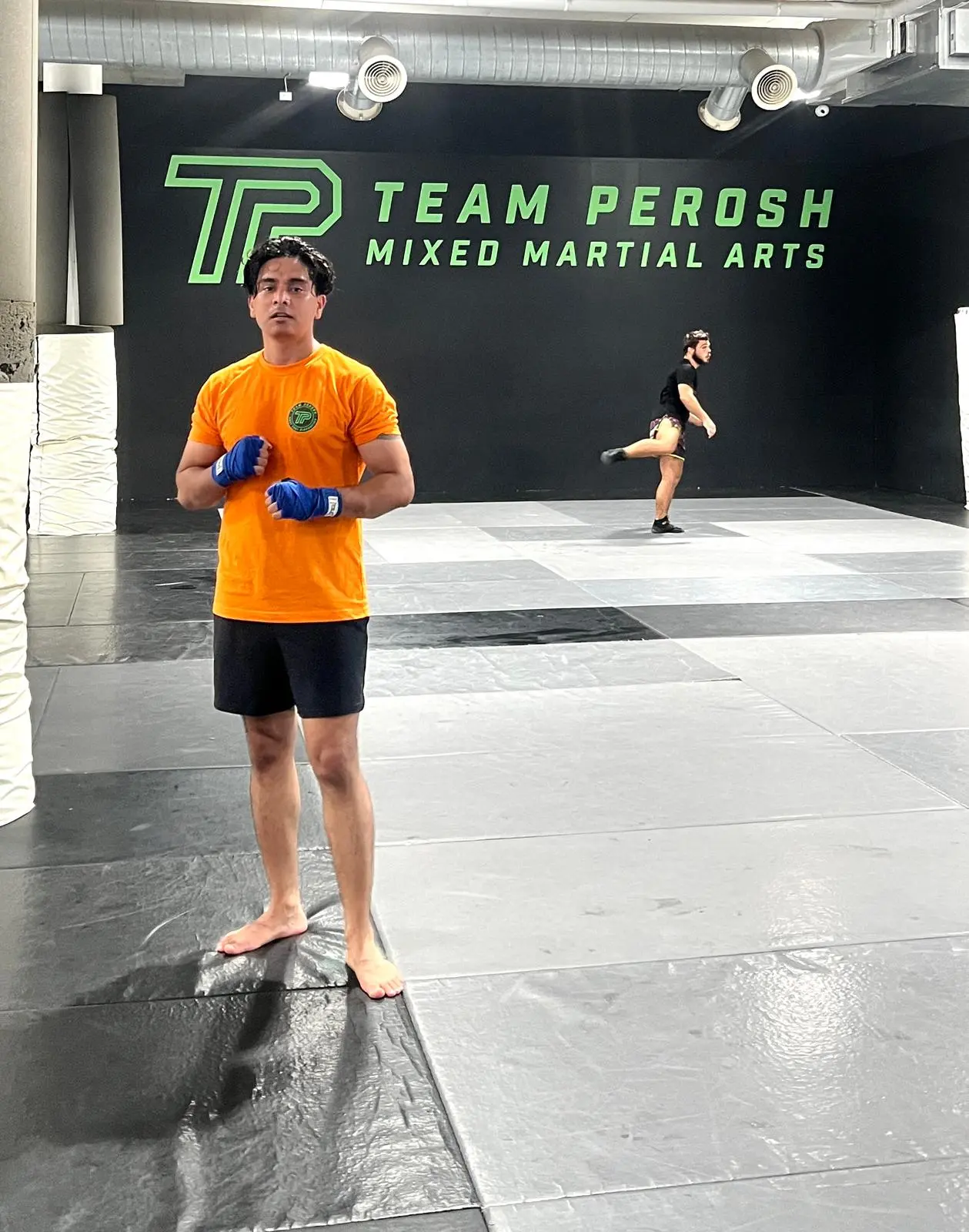 Mixed Martial Arts